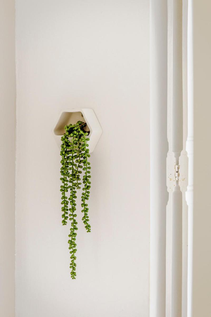 Rita & Marino Apartment Lisboa المظهر الخارجي الصورة